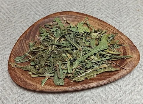 تصویر 3 از فروش دارو گیاهی کاسنی + قیمت خرید به صرفه